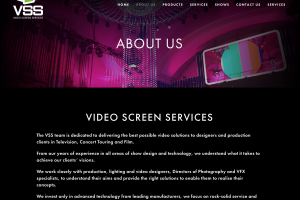 Website Copywriting: Client – Video Screen Services